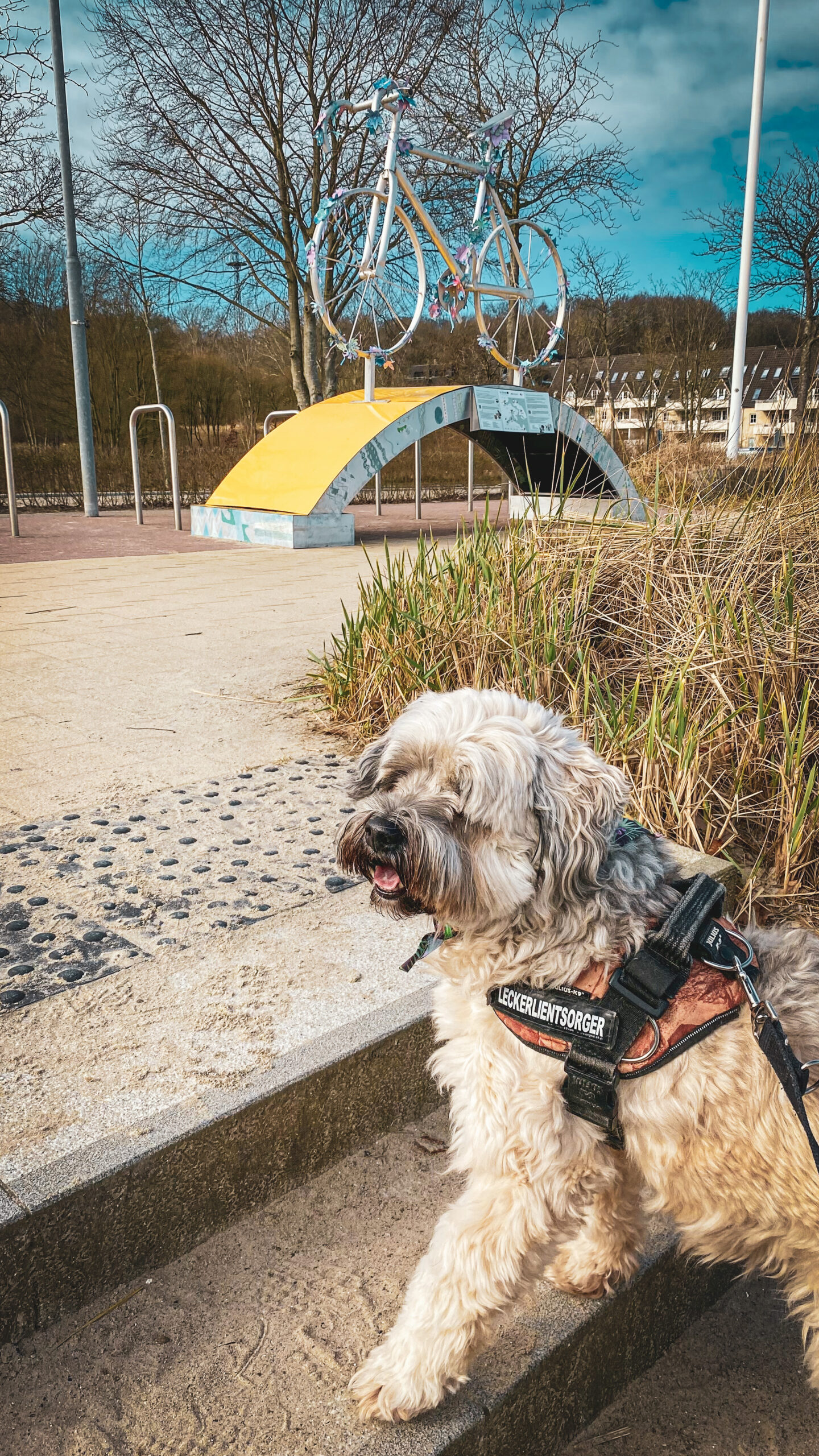 Hunde sind am Strand zwischen November und März willkommen. Foto: MaKiKe / Daniela Neuthor