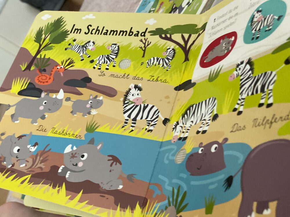 Aus dem Entdecker-Soundbuch „Tiere in Afrika“, Foto: Daniela Neuthor / Unsplash